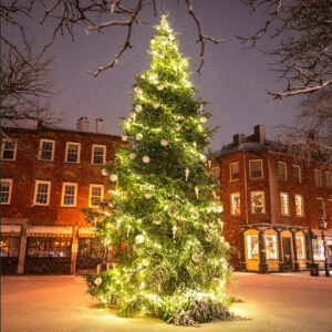 Newburyport Market Square Christmas Tree